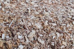 Waste Wood 처리 후