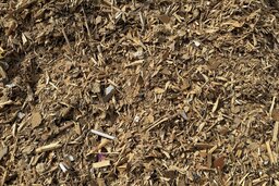 Waste Wood 처리 후
